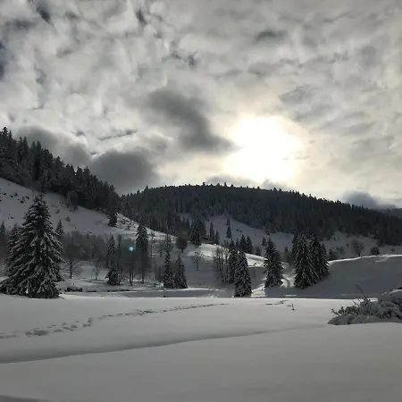 Charming Holiday In Skiing Area * La Bresse